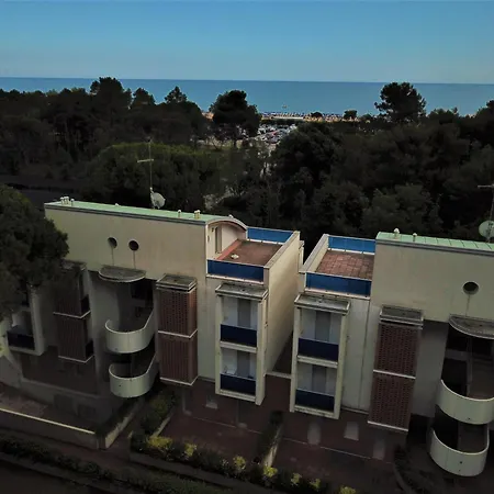 Pellicano * بيبيوني